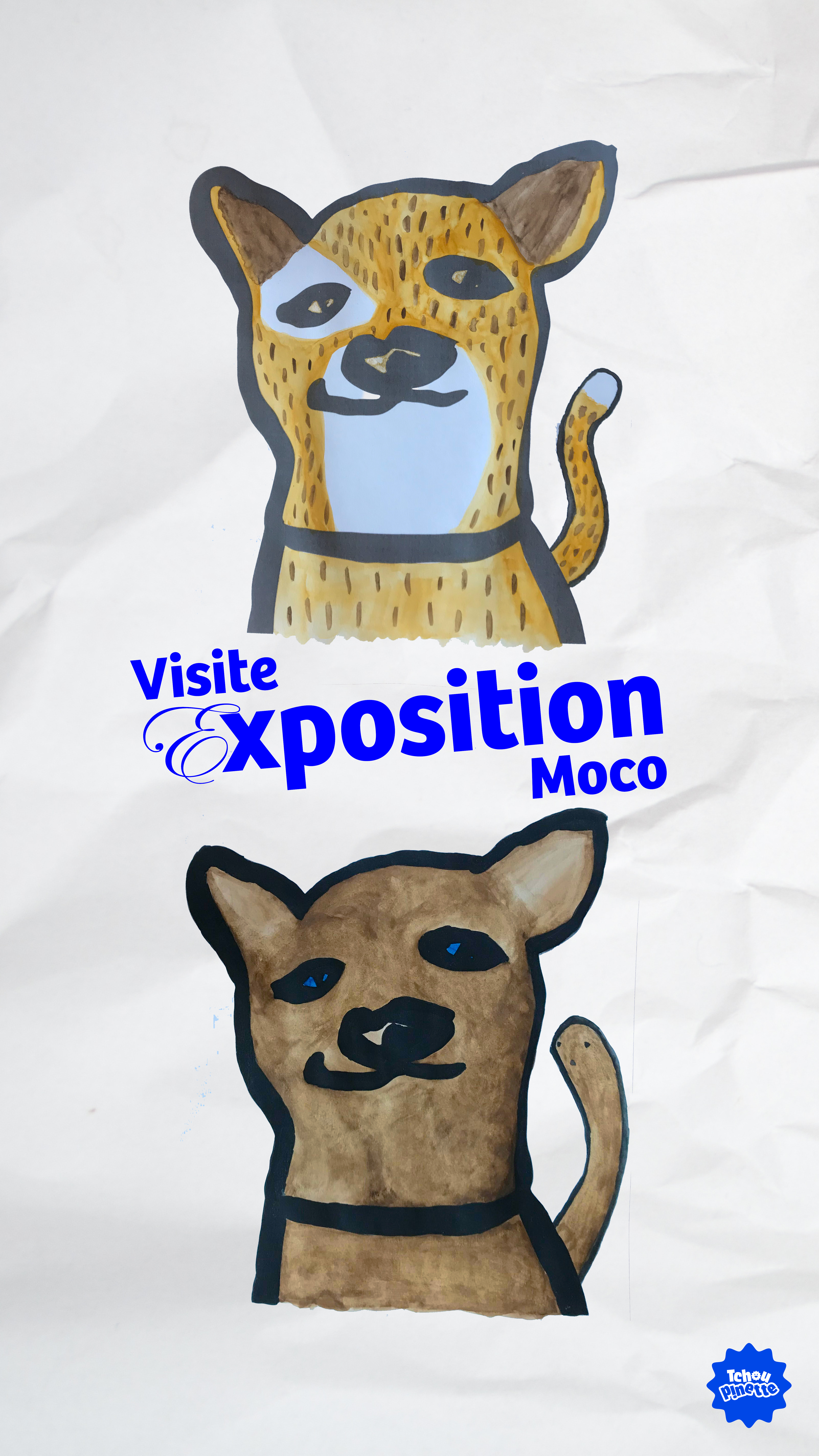 Création de vidéo social media - Octobre 2025