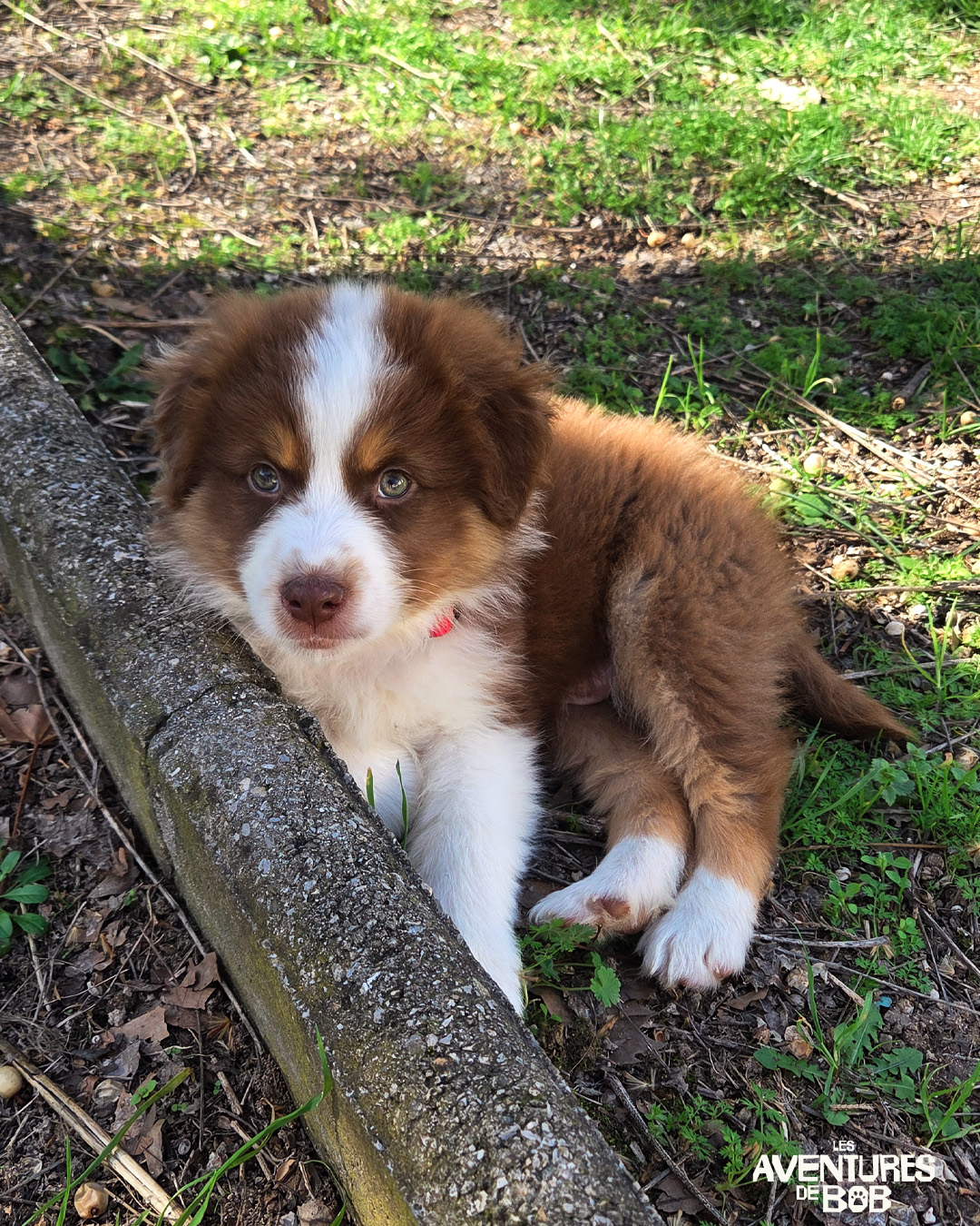 Création de visuel social media - Avril 2026