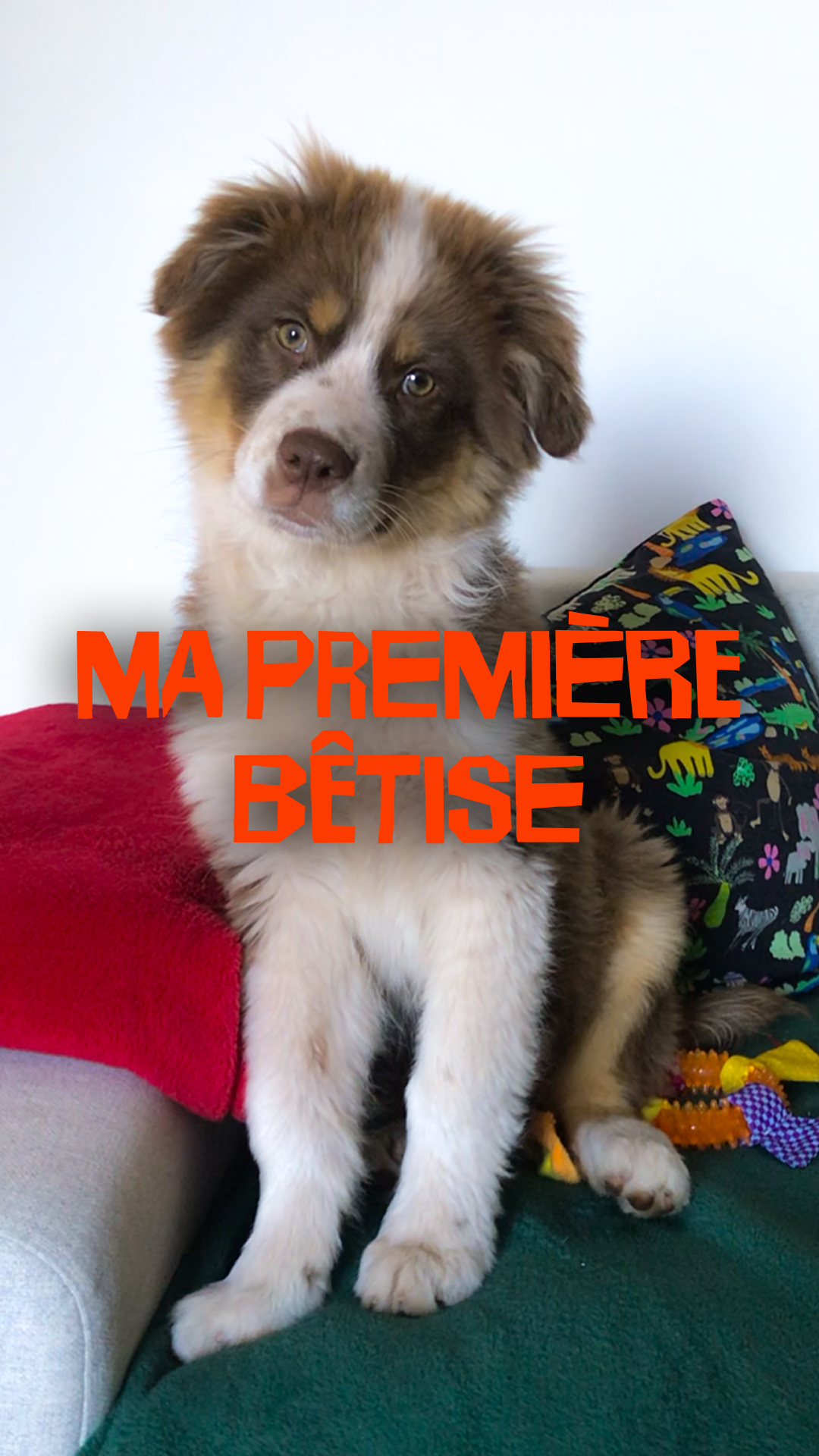 Création de vidéo social media - Avril 2026